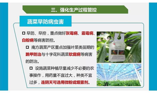 疫情防控下農(nóng)產(chǎn)品質(zhì)量安全與網(wǎng)絡(luò)游戲產(chǎn)品經(jīng)營(yíng)雙軌操作指南